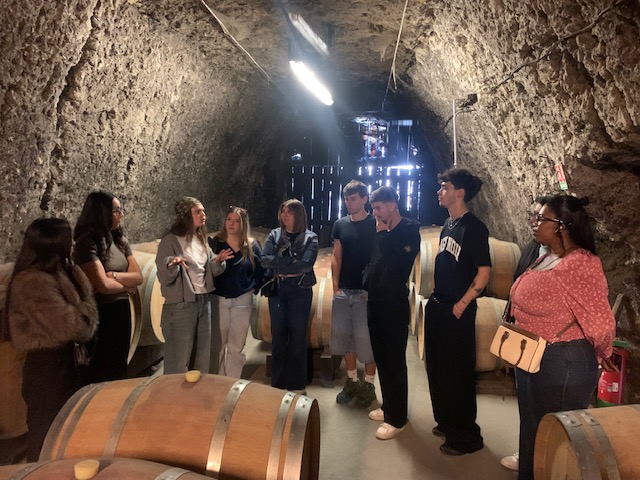 BTS MCO sortie domaine viticole photo 3